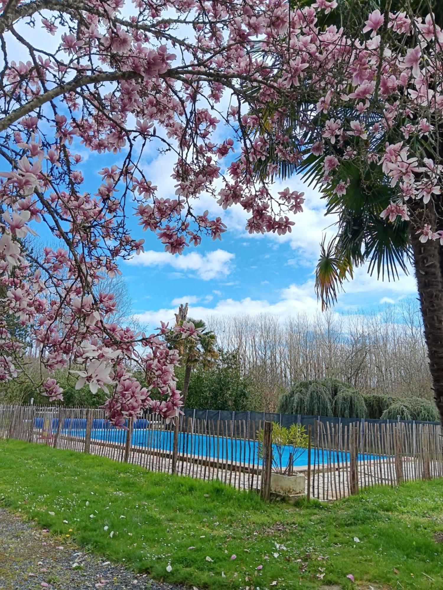 Gite Au Moulin Du Comte Bourrouillan Экстерьер фото