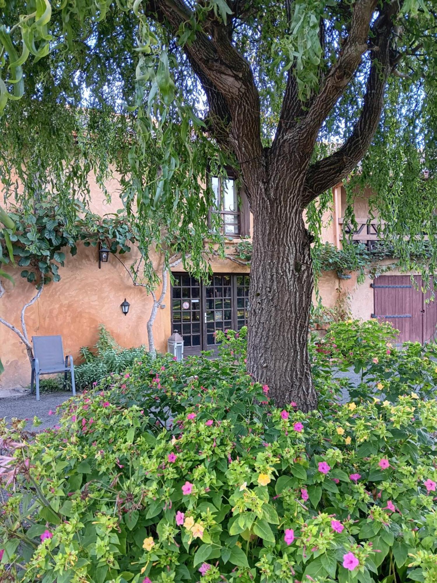 Gite Au Moulin Du Comte Bourrouillan Экстерьер фото