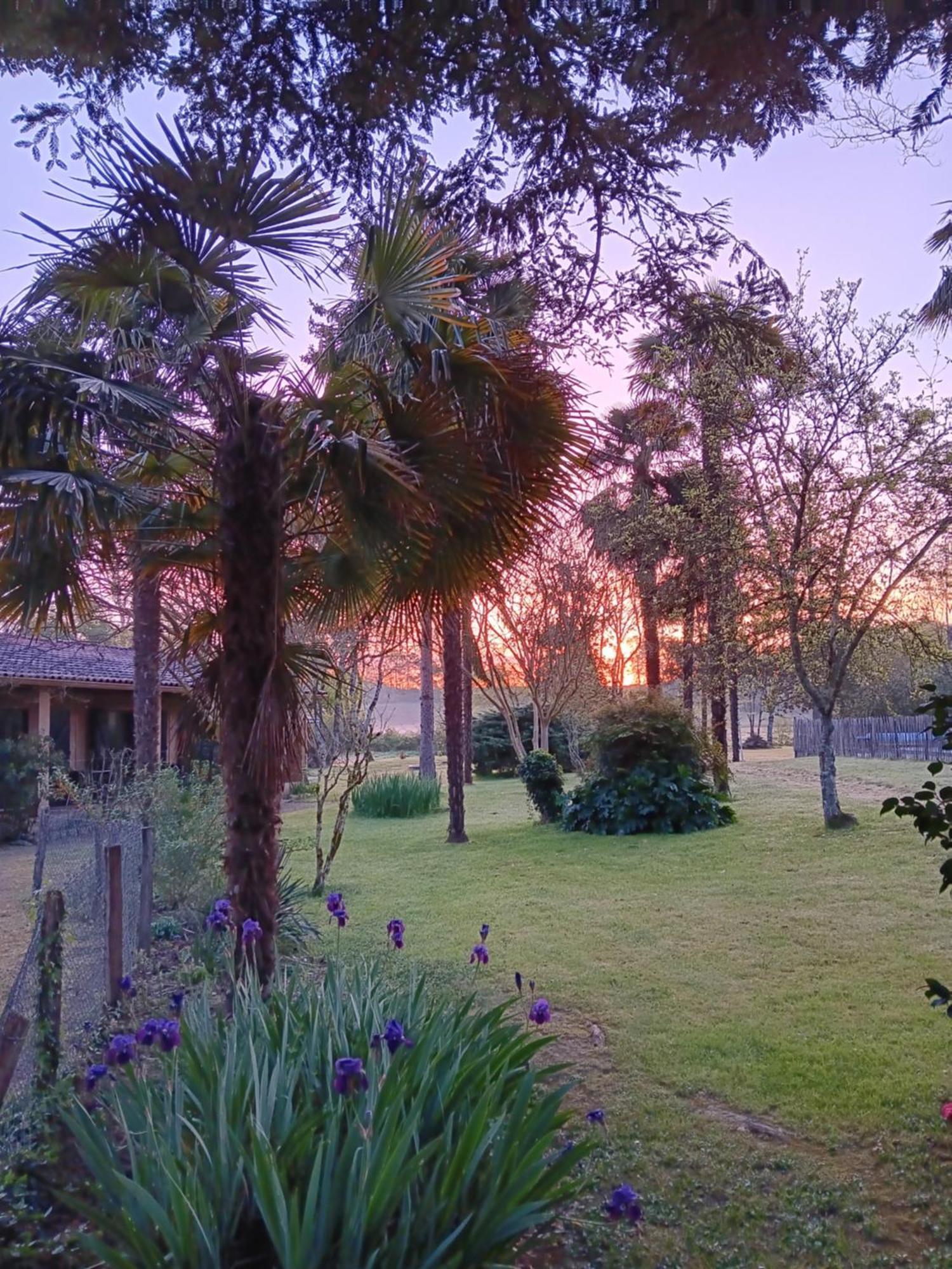 Gite Au Moulin Du Comte Bourrouillan Экстерьер фото